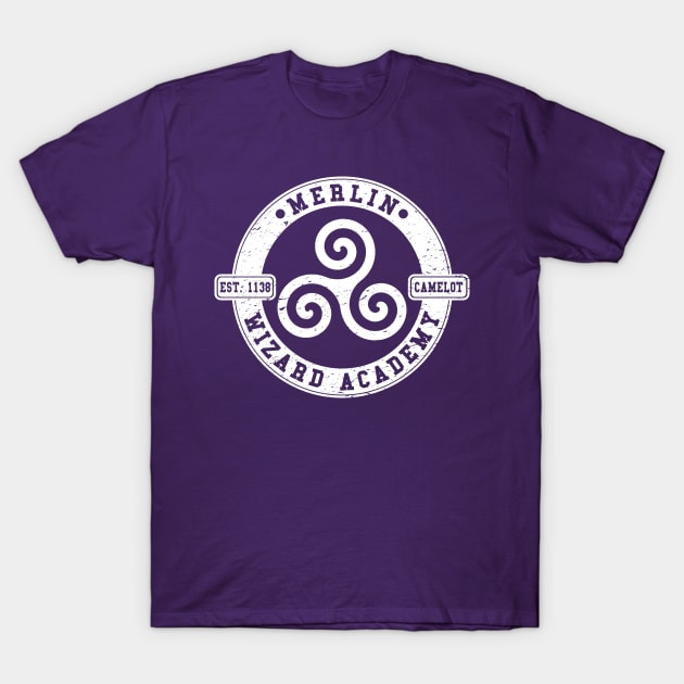 Merlin Wizard Academy T-Shirt by nickbeta